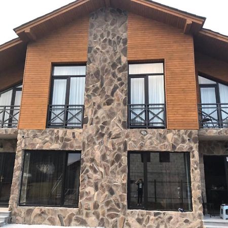 Bakuriani Cozy Villa #4 外观 照片
